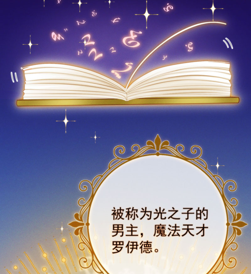 章节图片